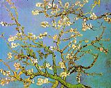 Almond Branches in Bloom by Vincent van Gogh